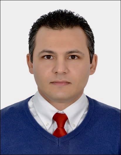 دكتور محمد حمدي الجوادى