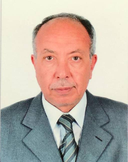 Dr. Magdy Fathallah