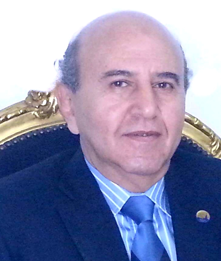 دكتور محمد فتحي حسن حسين