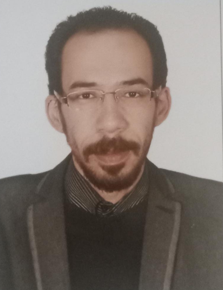 دكتور محمود السيسى