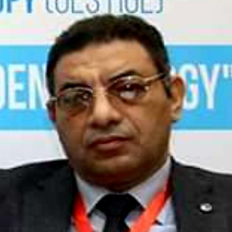 Dr. Sherif Kamel