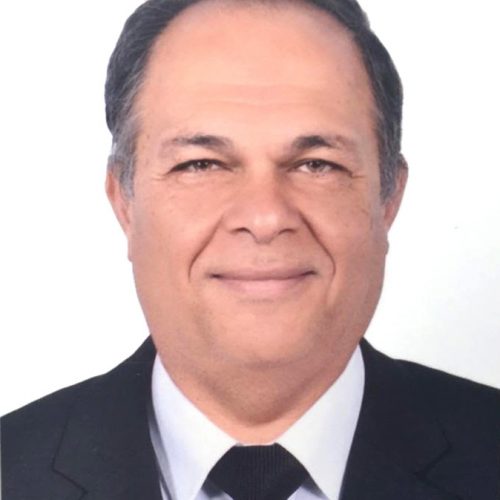 دكتور حسن حمدي