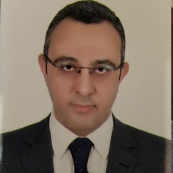 Dr. Mohamed Ahmed El Shanawany