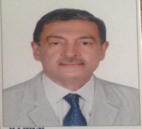 Dr. Hany Abu Zeid