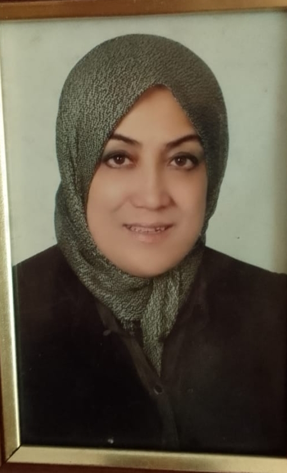 Dr. Hanaa Fathi