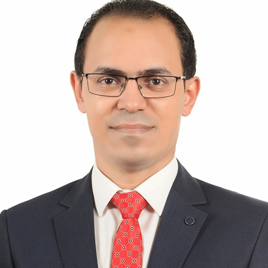 Dr. Mohamed Gamal El Ashry