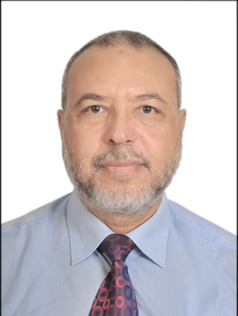 Dr. Mohamed Fatallah Mansour